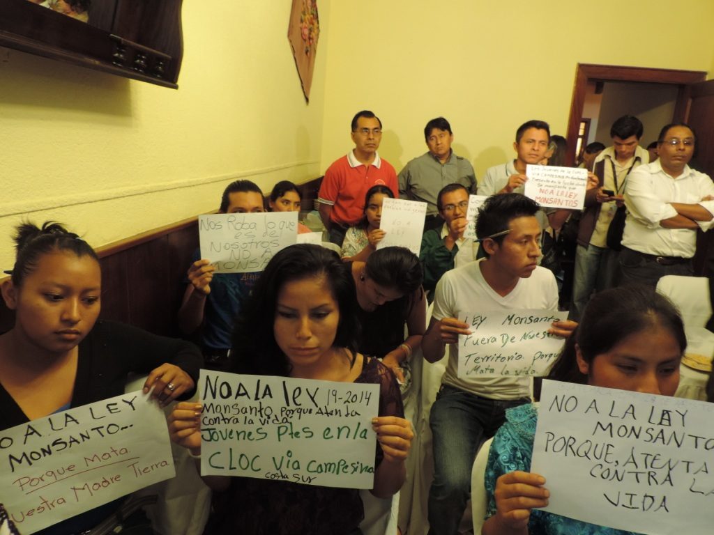 Guatemala: Juventud Campesina dice NO a Monsanto